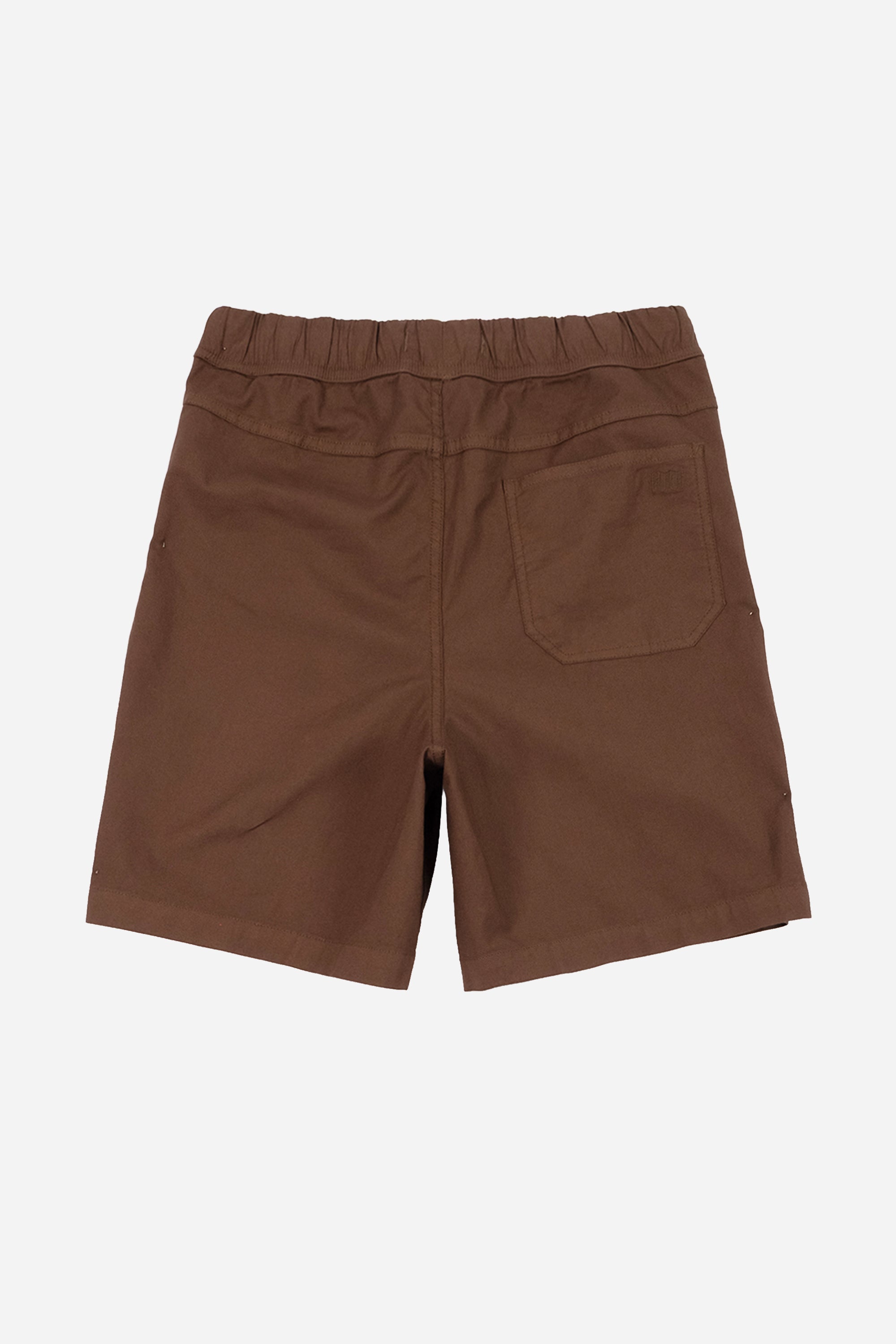 Desert Shorts Mens Desert Palm