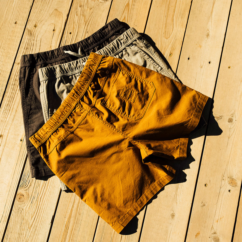 Desert Shorts Mens Desert Palm