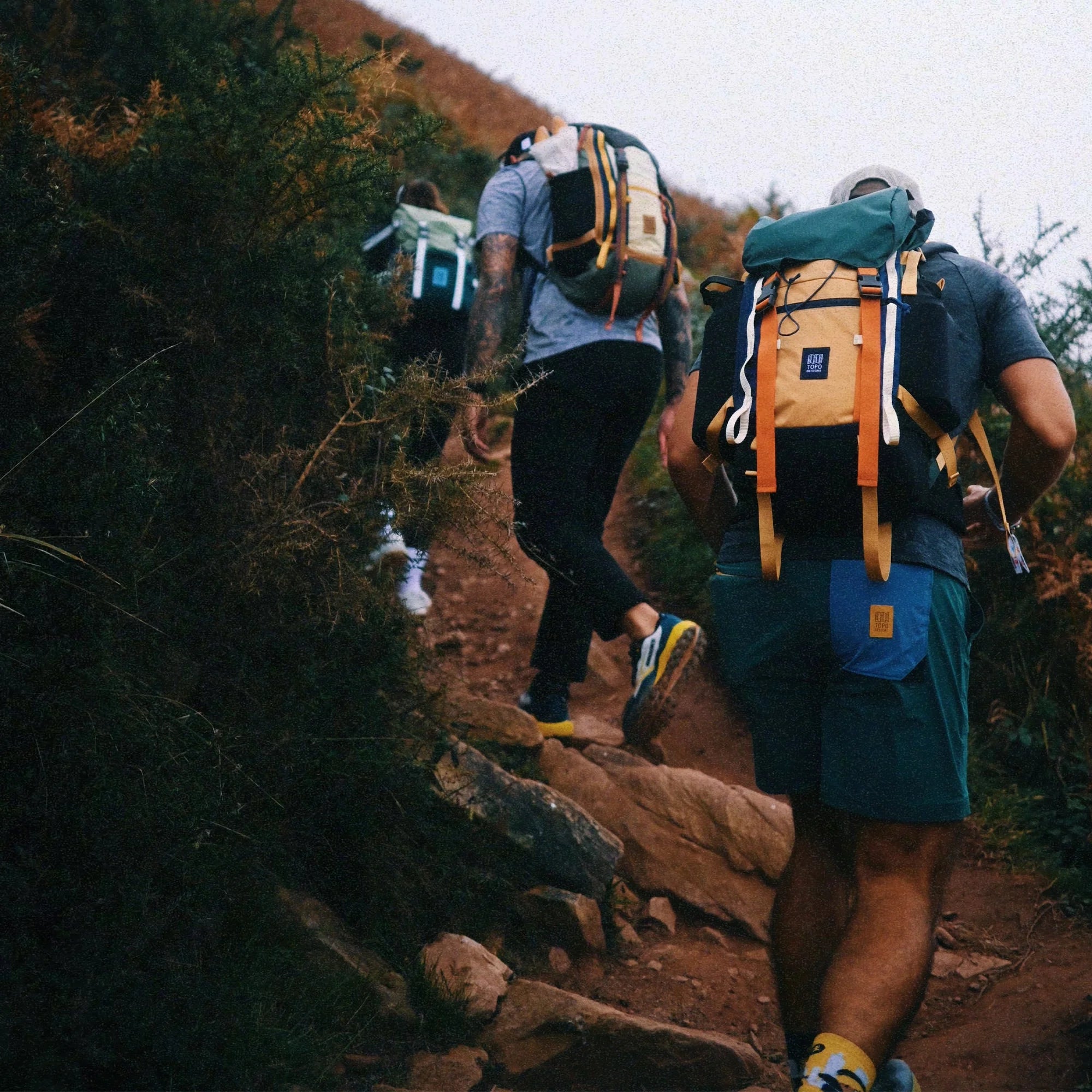 Rover Trail Pack 22L Forest/Goldenrod