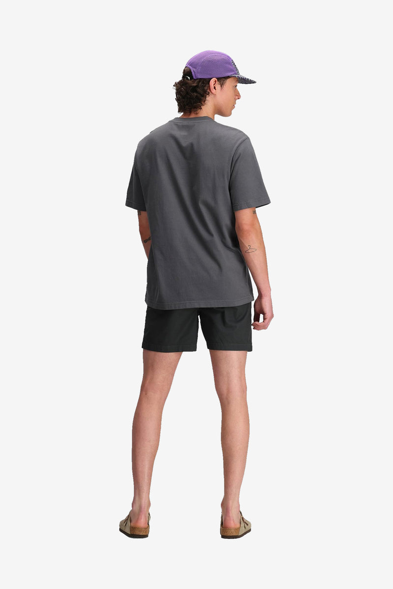 Dirt Desert Shorts Mens Asphalt